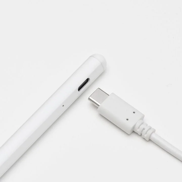 USB-Cケーブルでスタイラスペンを充電する様子