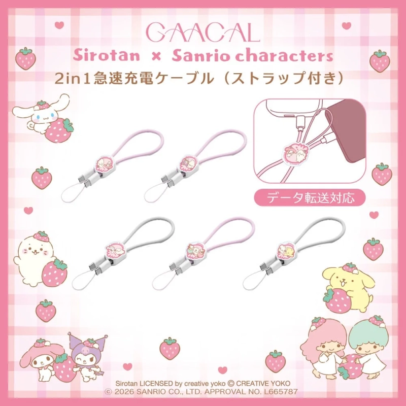 2in1急速充電ケーブル