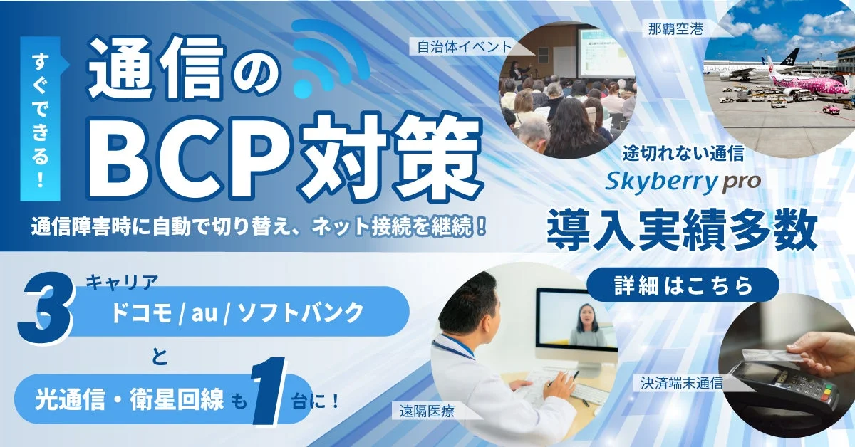 Skyberry pro サービス紹介