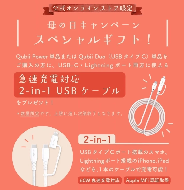 2-in-1 USBケーブル プレゼント