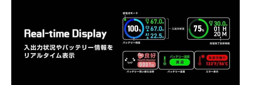 Real-time Displayの表示例