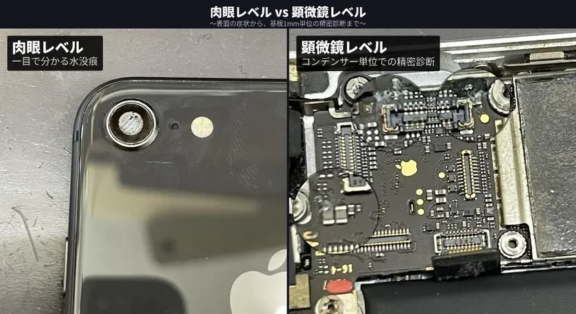 肉眼レベル vs 顕微鏡レベル