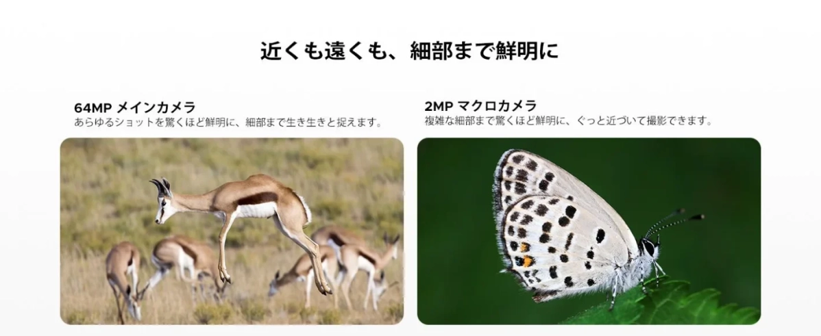 64MPメインカメラと2MPマクロカメラの作例